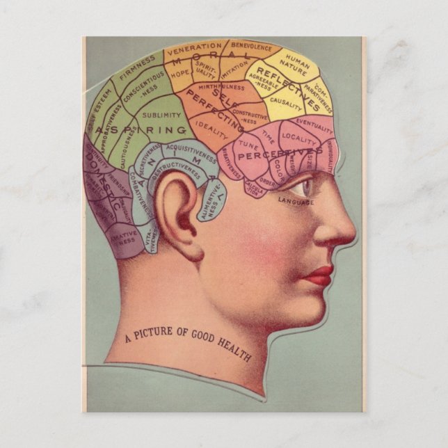 Phrenology Head in Colour Postcard (Front)