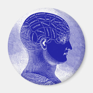 Phrenology Head Magnet