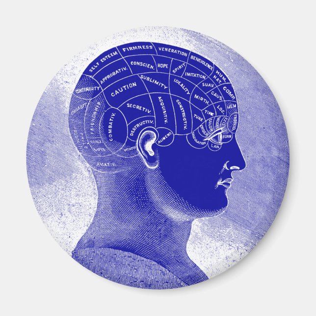 Phrenology Head Magnet (Front)
