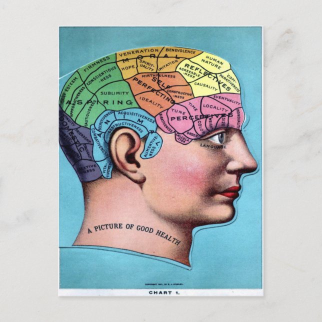 Phrenology Postcard (Front)