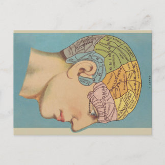 Phrenology Postcard