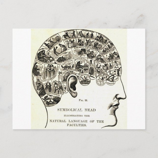 Phrenology Postcard (Front)
