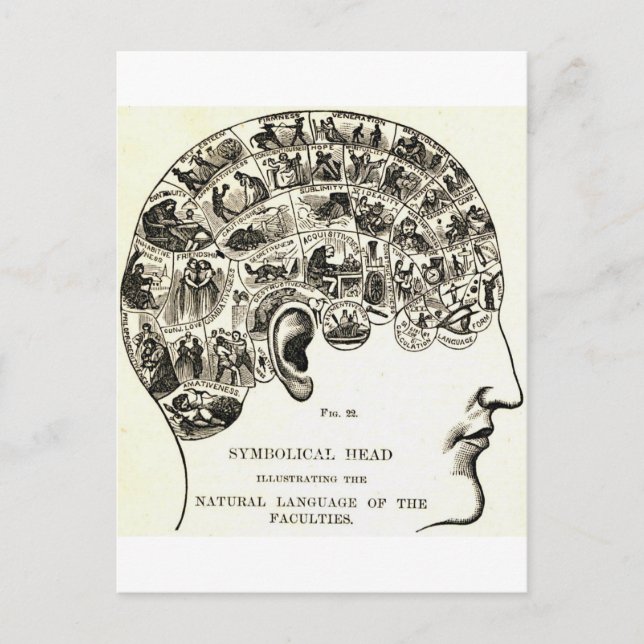 Phrenology Postcard (Front)