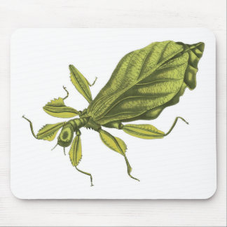 Phyllium Siccifolia Mouse Pad