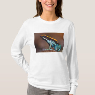 Phyllobates vittatus, a poison arrow frog T-Shirt