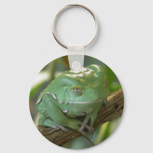 Phyllomedusa sauvagii key ring
