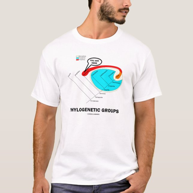 Phylogenetic Groups - You Are Here T-Shirt (Front)