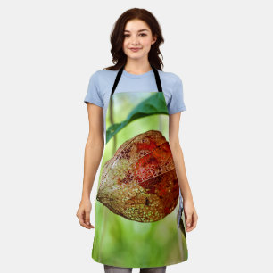 Physalis alkekengi All Over Print Apron