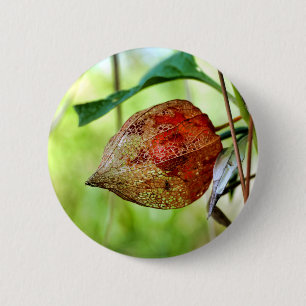 Physalis alkekengi Badge
