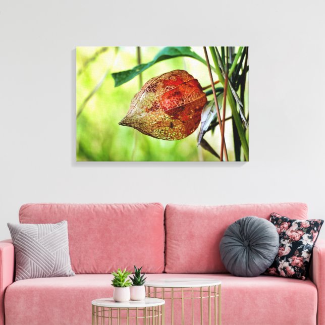Physalis alkekengi canvas print (Insitu(LivingRoom))