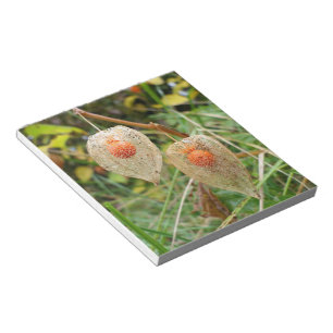Physalis alkekengi notepad