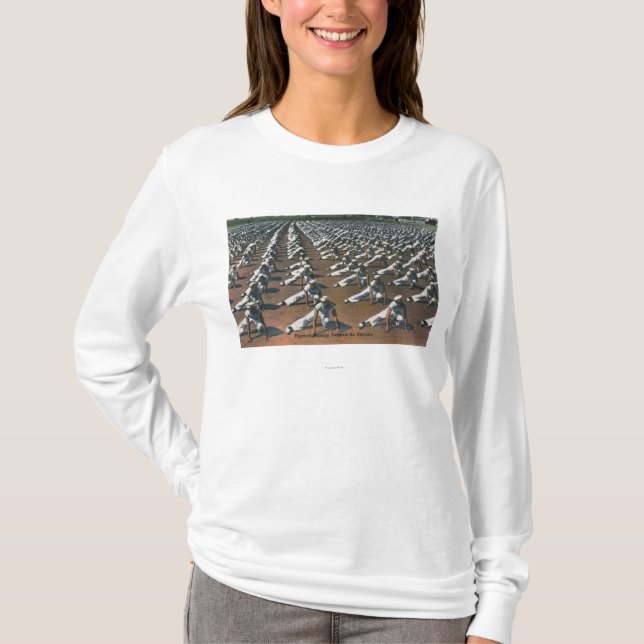 Physical Training Program for Recruits - US Navy T-Shirt (Front)