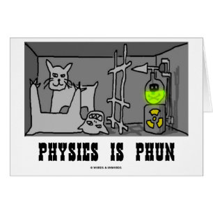Physics Is Phun (Fun) (Schrödinger's Cat Thought)