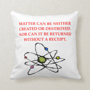 physics joke cushion
