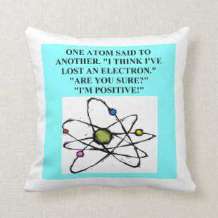 physics joke cushion