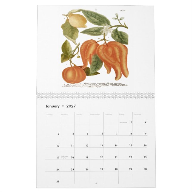 Phytanthoza Iconographia Calendar (Jan 2027)