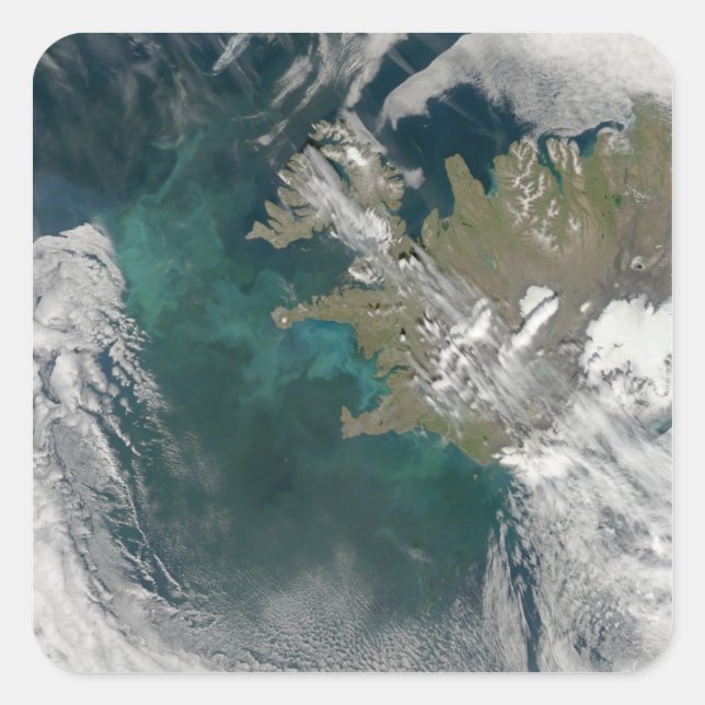 Phytoplankton bloom in the North Atlantic Ocean Square Sticker (Front)