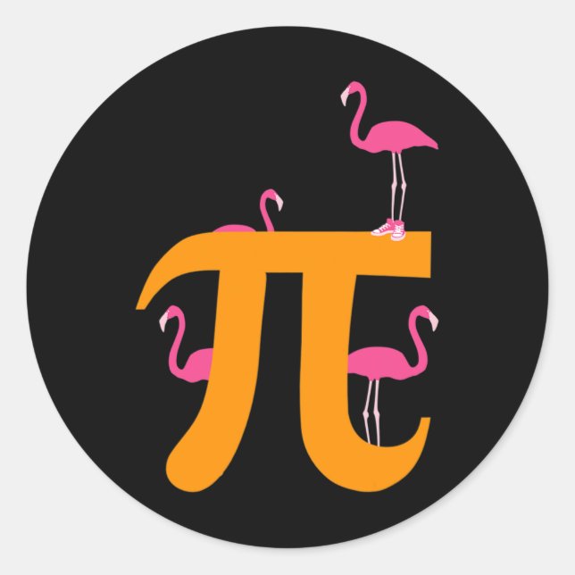 Pi Math Funny Pi Day 3.14 Math Funny Flamingo Gift Classic Round Sticker (Front)