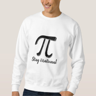 Pi Sweatshirt – Geeky & Math-Inspired Comfort!