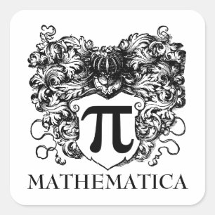 Pi Warrior Square Sticker