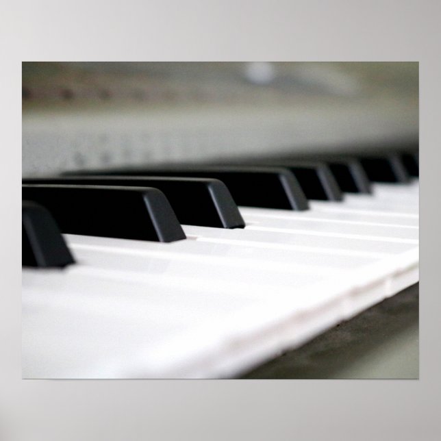 Piano Keys on a Keyboard Colour 16x20 Poster (Front)
