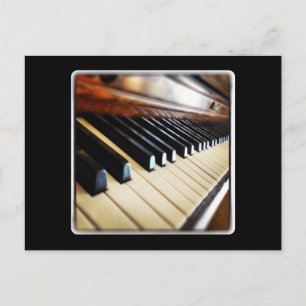 Piano Keys on Black Postcard