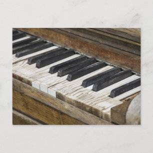 Piano Keys Postcard