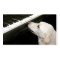 Piano lessons