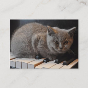 Piano or Music Lesson Business Card