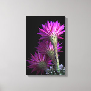 Piazza beauty from the back canvas print