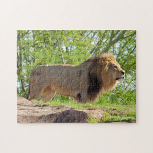 Pic of a Lion - King of the Jungle Puzzle