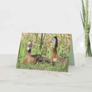 Pic of Black-Bellied Whistling Ducks Birthday Holiday Card
