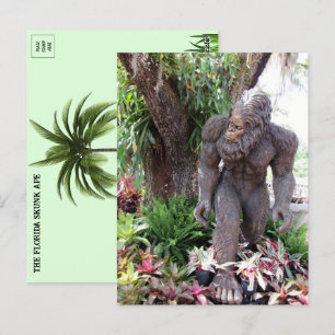 Pic of Florida Skunk Ape Postcard