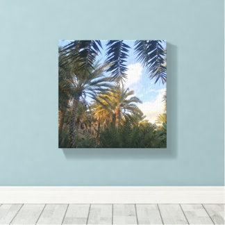 pic of palm tree  canvas print