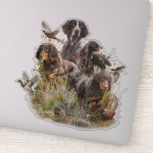 Picardy Spaniel