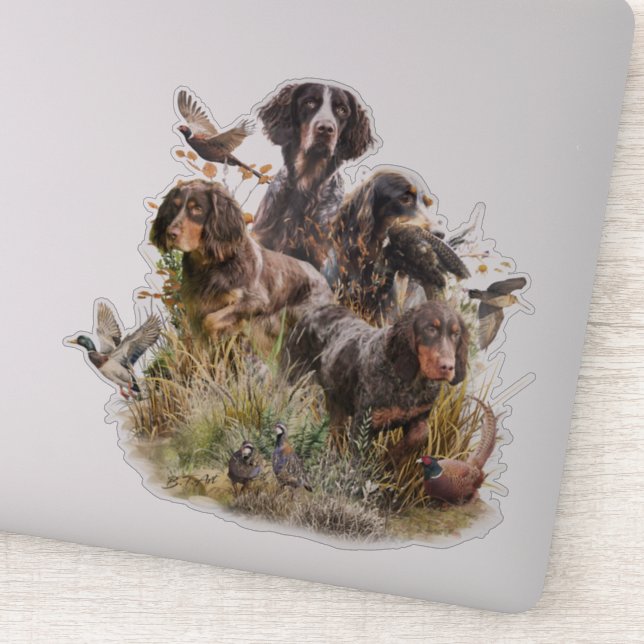 Picardy Spaniel (Detail)