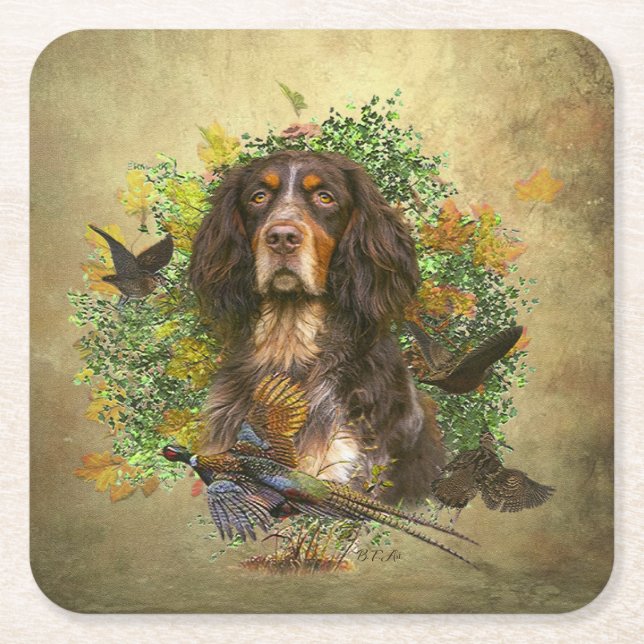 Picardy Spaniel , Hunting season   Square Paper Coaster (Front)