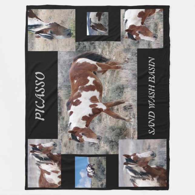 Picasso Icon of Sand Wash Basin,  Colorado Fleece Blanket (Front)