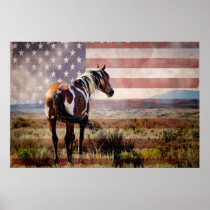 Picasso of Sand Wash Basin Poster