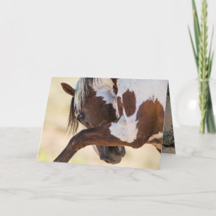 Picasso Strikes Wild Horse Greeting Card