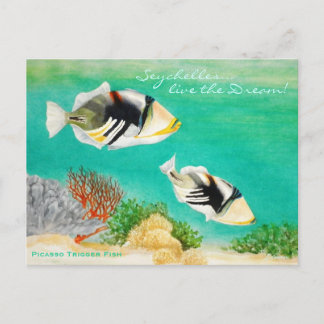Picasso Trigger Fish Postcard