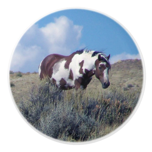 Picasso under a Blue Sky Ceramic Knob (Front)