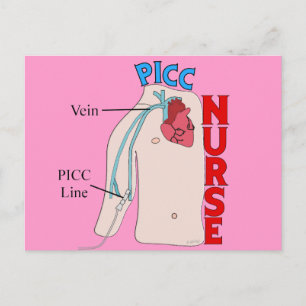 PICC Line Nurse Anatomical  Design Gifts Postcard