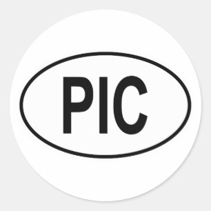 Piccolo Oval Classic Round Sticker