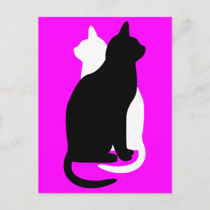 Pick Colour Black White Cat Duo Yin Yang Style Postcard