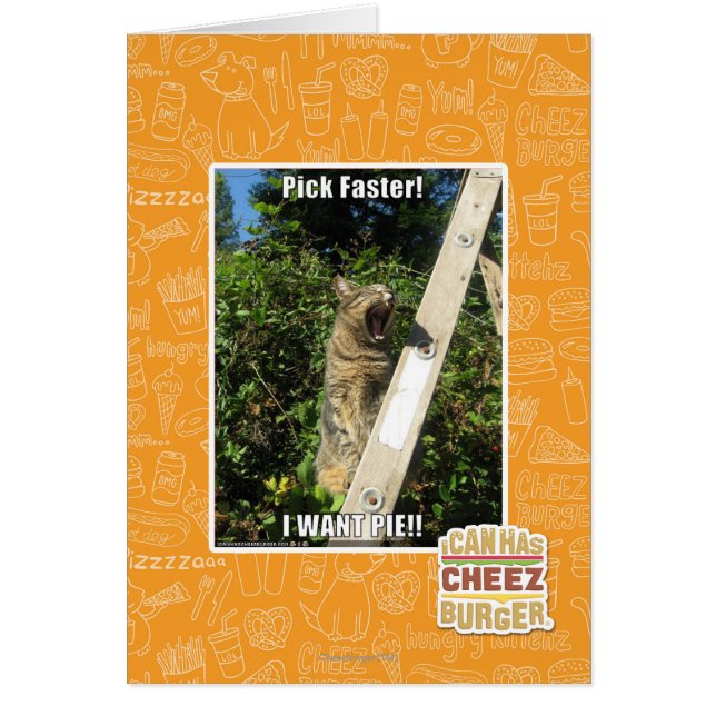Pick Faster! (Front)