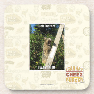 Pick Faster! Coaster