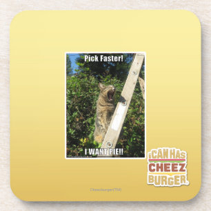 Pick Faster! Coaster