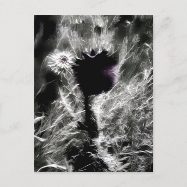 Pick Me Postcard (Front)