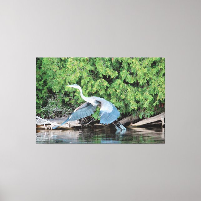 Pick Up Your Feet Canvas Print (Front)